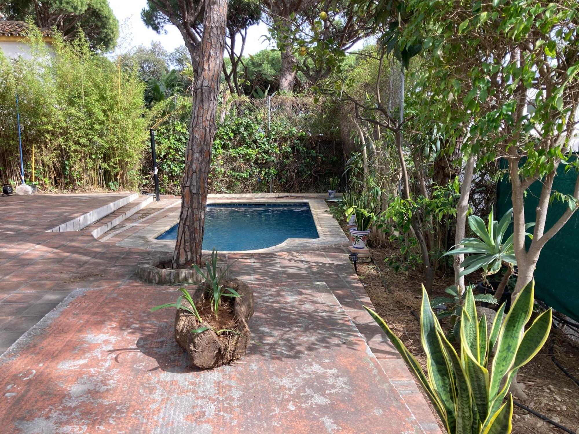 Marbella White Home, Calahonda, By Sol Maestranza Sitio de Calahonda Esterno foto
